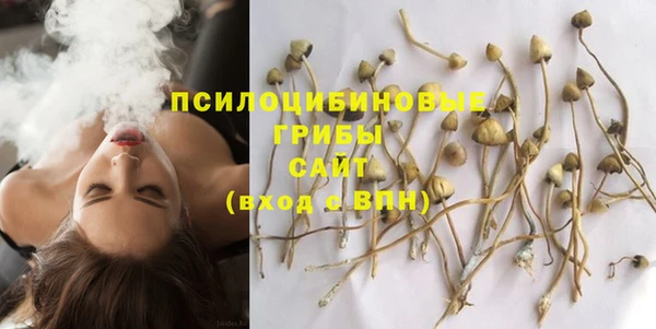 метамфетамин Верея