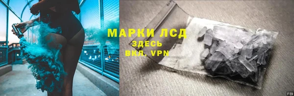твердый Протвино