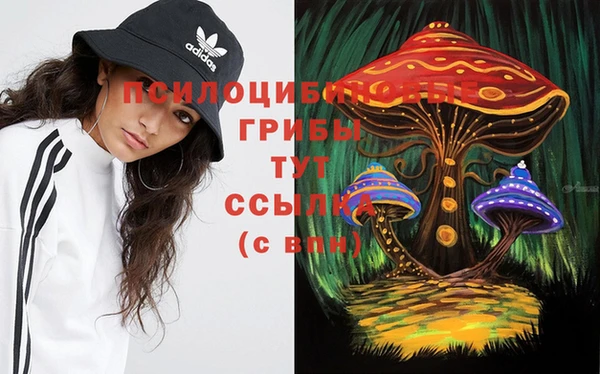 скорость Верхний Тагил