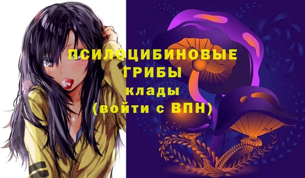 метамфетамин Верея