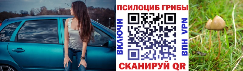 Псилоцибиновые грибы прущие грибы  это состав  Горняк 